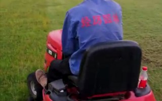 足球草地需要更换吗，足球草地图片